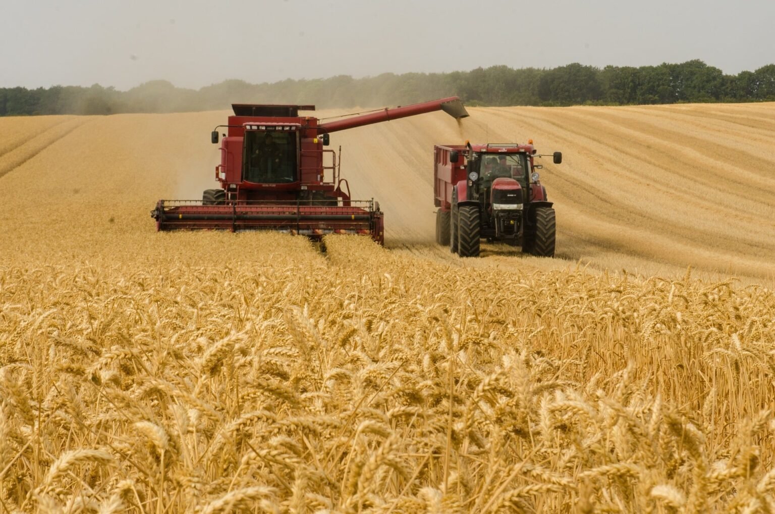 ‘Menos ruído, mais diálogo’ é chave para comunicação no agro, diz ...