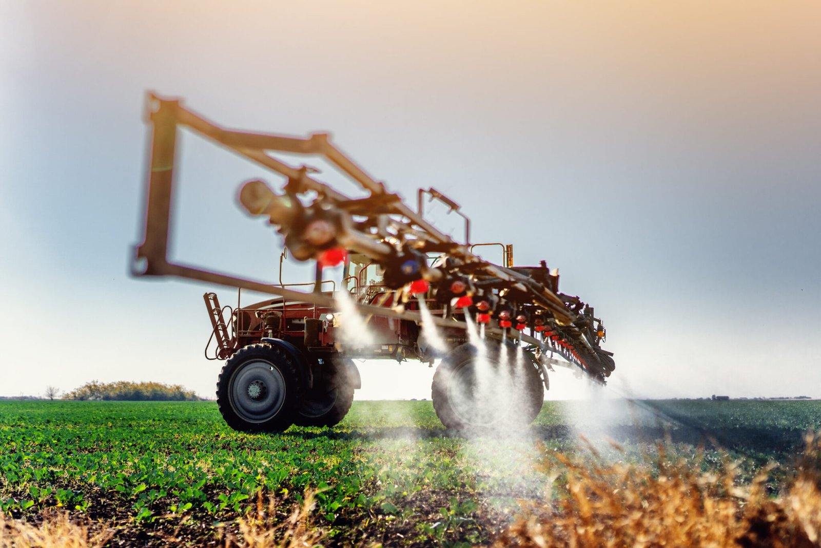 Muito além dos números: o crescimento dos biofertilizantes revela uma nova fase da agricultura brasileira